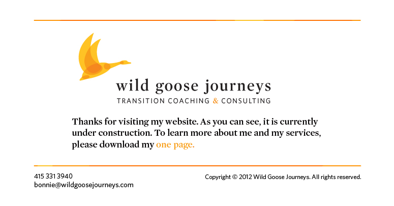Wild Goose Journeys splash page